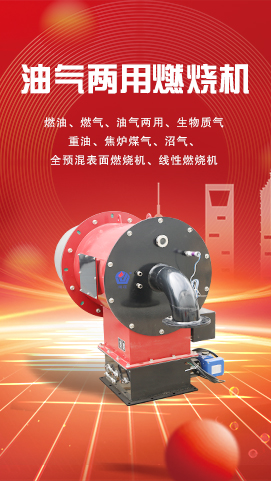 燃油燃气两用系列